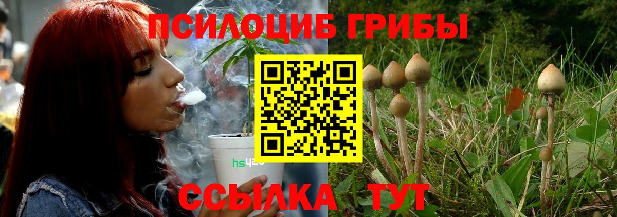 Бутират Братск