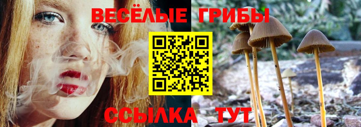 Братск  Псилоцибиновые грибы GOLDEN TEACHER  Вход с VPN  Галлюциногенные грибы ЛСД 